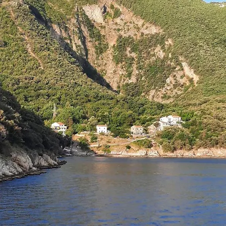 Apartament Djanina *